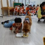 新東湖非營利幼兒園／台北內湖 75 - Travel of Rice 小米遊記