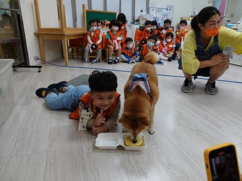 新東湖非營利幼兒園/台北內湖 75 - Travel of Rice 小米遊記 新東湖非營利幼兒園/台北內湖 75 - Travel of Rice 小米遊記