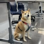 國立聯合大學八甲校區／苗栗市 87 - Travel of Rice 小米遊記