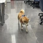 國立聯合大學八甲校區／苗栗市 88 - Travel of Rice 小米遊記