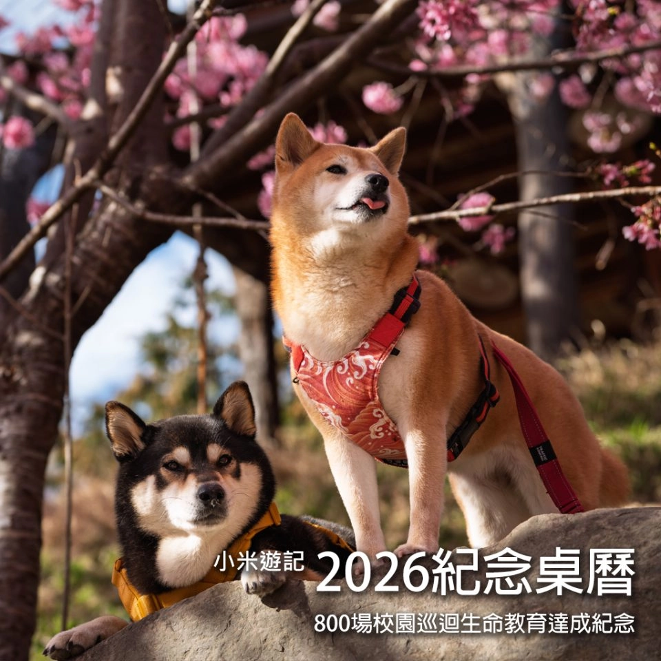 小米遊記：2026紀念桌曆 1 - Travel of Rice 小米遊記