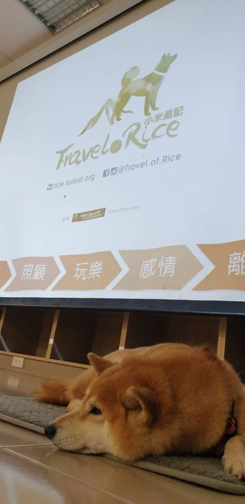 連江縣衛生福利局/連江南竿 46 - Travel of Rice 小米遊記 連江縣衛生福利局/連江南竿 46 - Travel of Rice 小米遊記