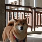 馬祖高中／連江南竿 38 - Travel of Rice 小米遊記