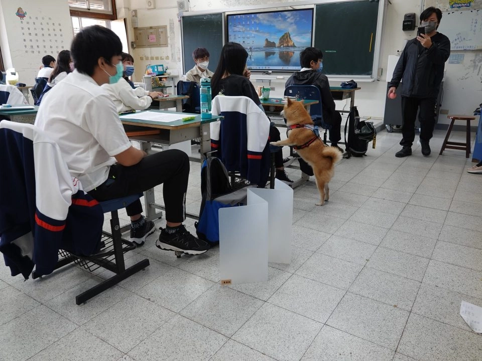 馬祖高中/連江介壽 46 - Travel of Rice 小米遊記 馬祖高中/連江介壽 46 - Travel of Rice 小米遊記