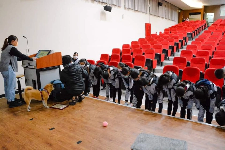 關於校園巡迴 15 - Travel of Rice 小米遊記