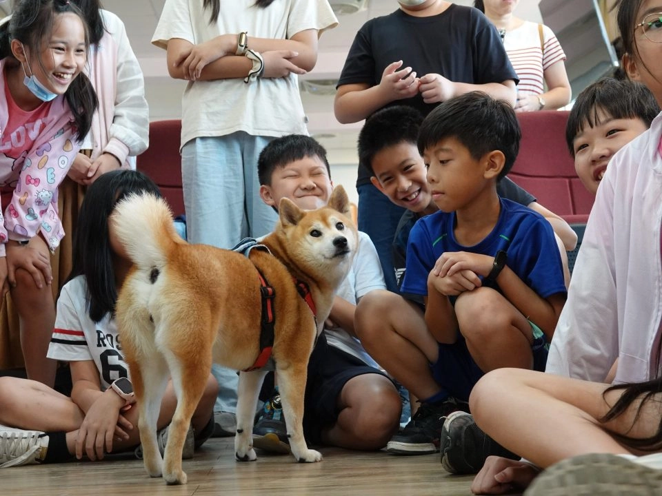 關於校園巡迴 13 - Travel of Rice 小米遊記