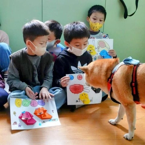 當「愛護動物」這抽象的口號，變成了「在乎、尊重動物的感受」後 86 - Travel of Rice 小米遊記