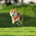 2026暑期《獨一無二的家人》親子生命教育巡迴講座